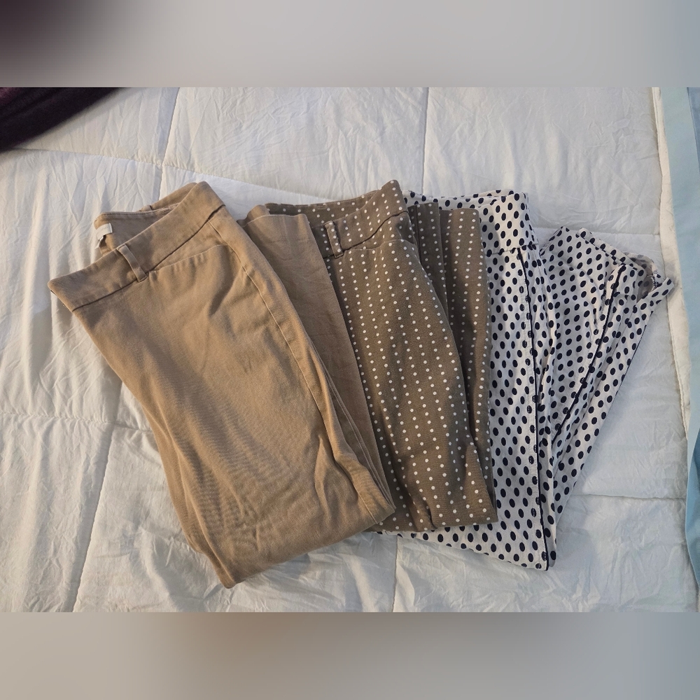 New York & Company Tan and Polka Dot Chinos